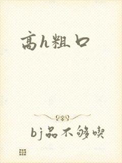 高h粗口