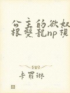 公主的欲奴h四根双龙np视频