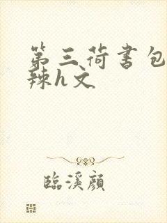 第三荷书包网高辣h文