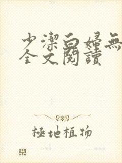 少洁白妇无删减全文阅读