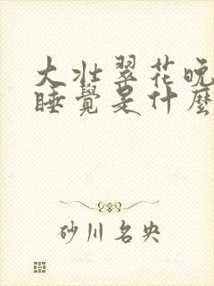 大壮翠花晚上不睡觉是什么电视剧