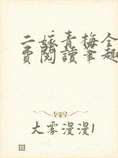 二嫁青梅全文免费阅读笔趣阁