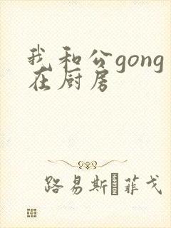 我和公gong在厨房