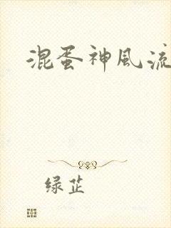 混蛋神风流记
