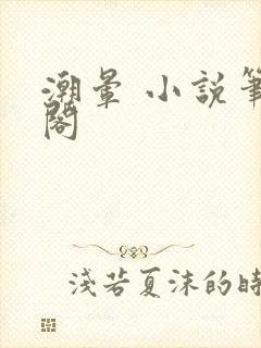 潮晕 小说笔趣阁