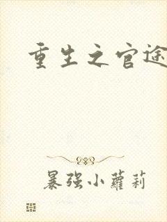 重生之官途辉煌