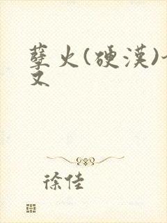 孽火(硬汉)今又