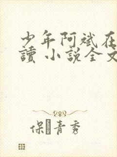 少年阿斌在线阅读 小说全文免费