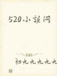 520小说网