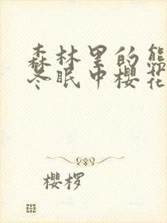 森林里的熊先生冬眠中樱花动漫