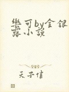 乐可by金银花露小说