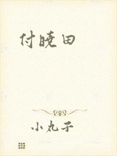 付晓田