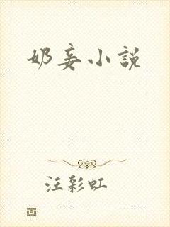 奶妾小说
