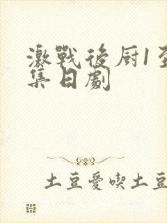 激战后厨1至5集日剧