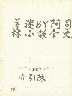 着迷BY阿司匹林小说全文免费阅读