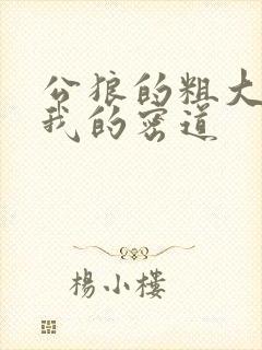 公狼的粗大挺进我的密道