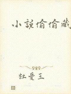 小说偷偷藏不住