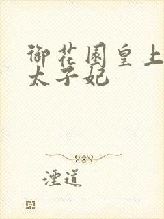 御花园皇上撞着太子妃