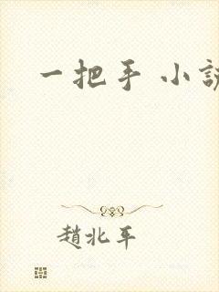 一把手 小说