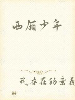 西厢少年