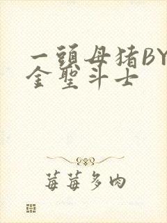 一头母猪BY黄金圣斗士