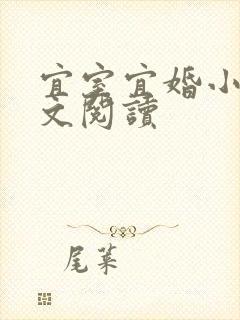 宜室宜婚小说全文阅读