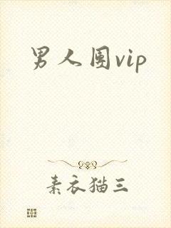 男人团vip
