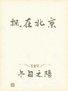 飘在北京