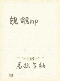 觊觎np