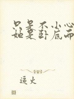 只是不小心发现她是卧底而已