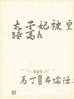 太子妃被皇上强睡高h