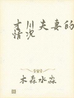 才川夫妻的恋爱情况