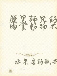 腹黑师兄的日常肉食动物不食草