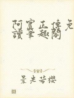 阿宾正传免费阅读笔趣阁