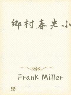 乡村春光小说