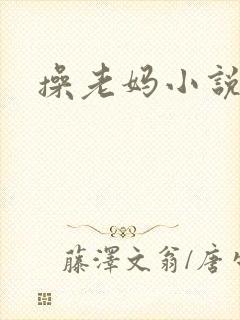 操老妈小说