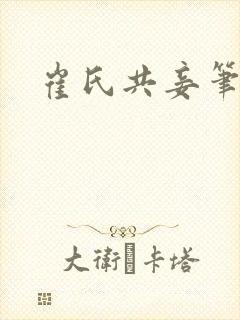 崔氏共妾笔趣阁