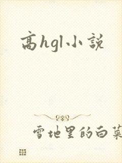高hgl小说