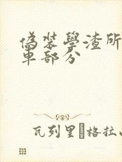 伪装学渣所有开车部分