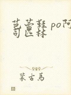 芭蕾鞋 po阿司匹林