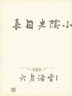 长日光阴小说