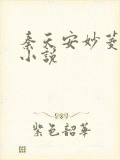 秦天安妙菱修仙小说