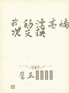 我的漂亮娇妻初次交换