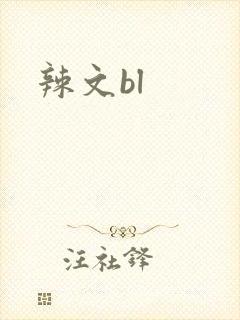 辣文bl