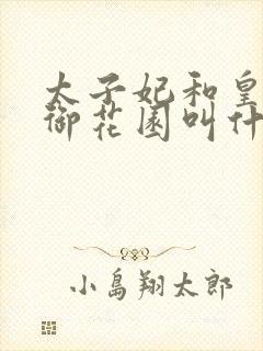 太子妃和皇帝在御花园叫什么小说