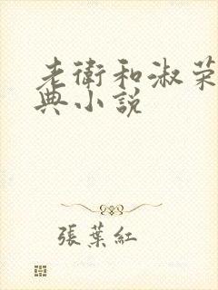 老卫和淑荣的经典小说