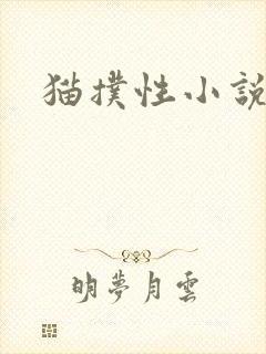 猫扑性小说