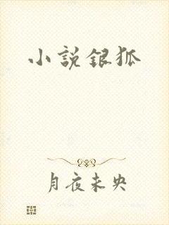 小说银狐