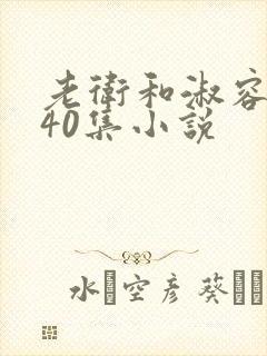 老卫和淑容1-40集小说