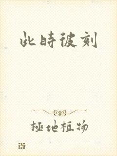 此时彼刻